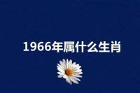 1966年 生肖|1966年属什么生肖？